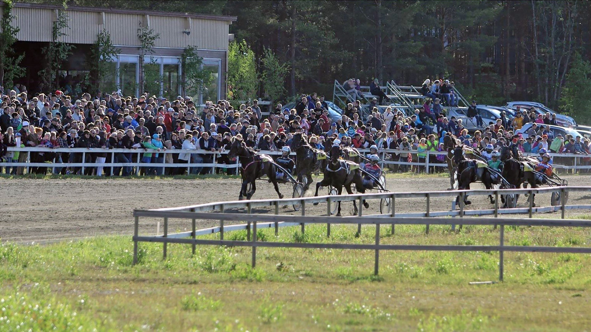 Kalajoen kesäravit - yleisö ja lämminveriset radalla.