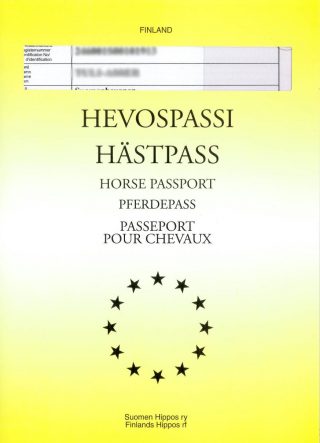 Suomenhevosen passi