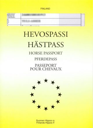 Suomenhevosen passi