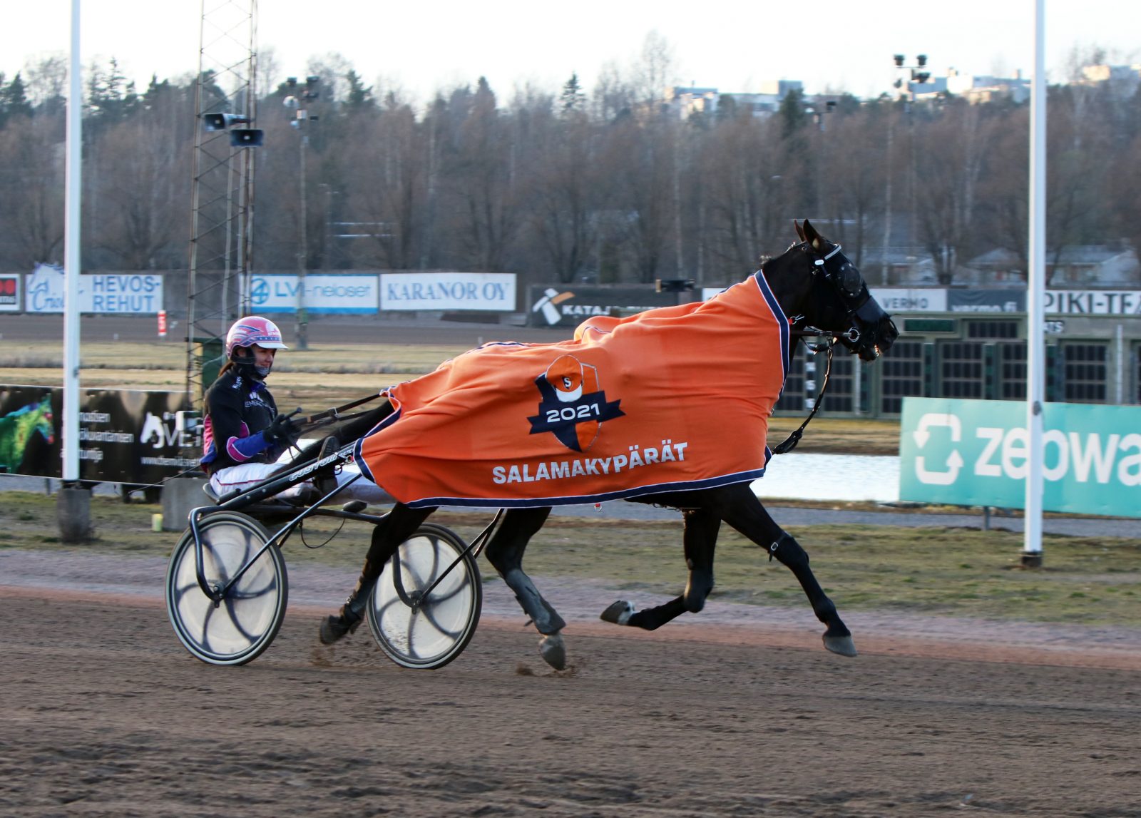 Oona Halme ja Rebel Royal voittajaesittelyssä.