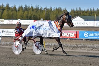 Hannu Korpi ja Grainfield Aiden voittivat Kaustisella