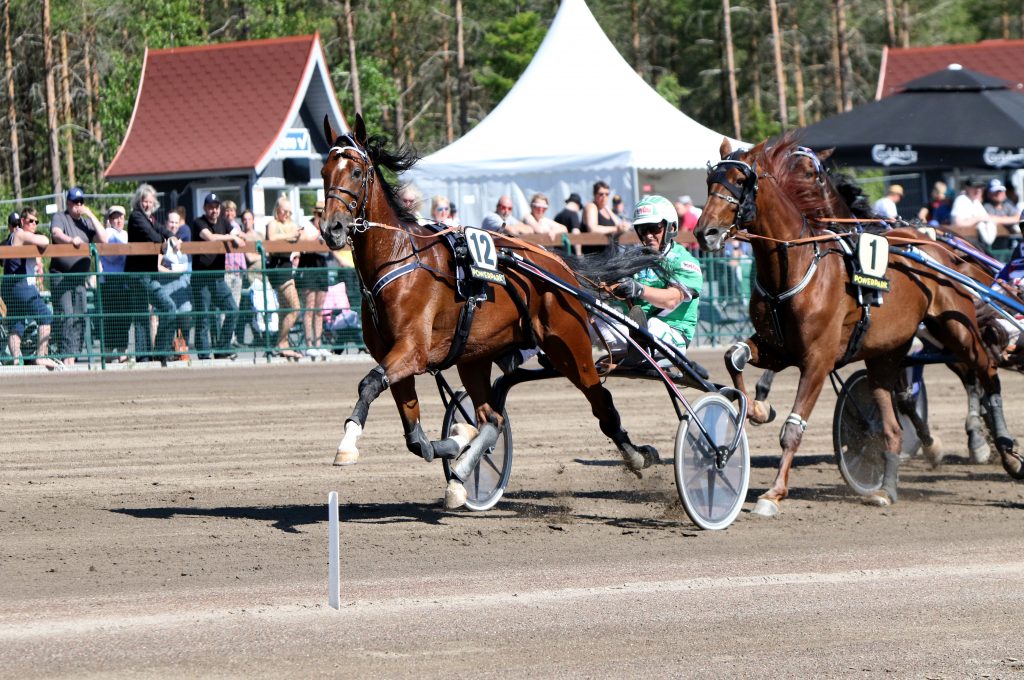 Härmä PowerPark ravirata.