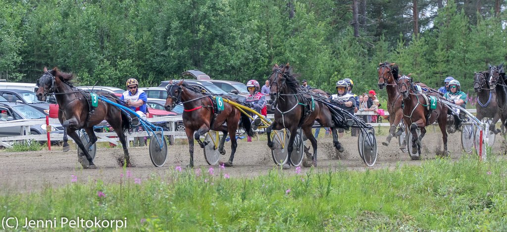 Sodankylä kesäravit Kuva: Jenni Peltokorpi