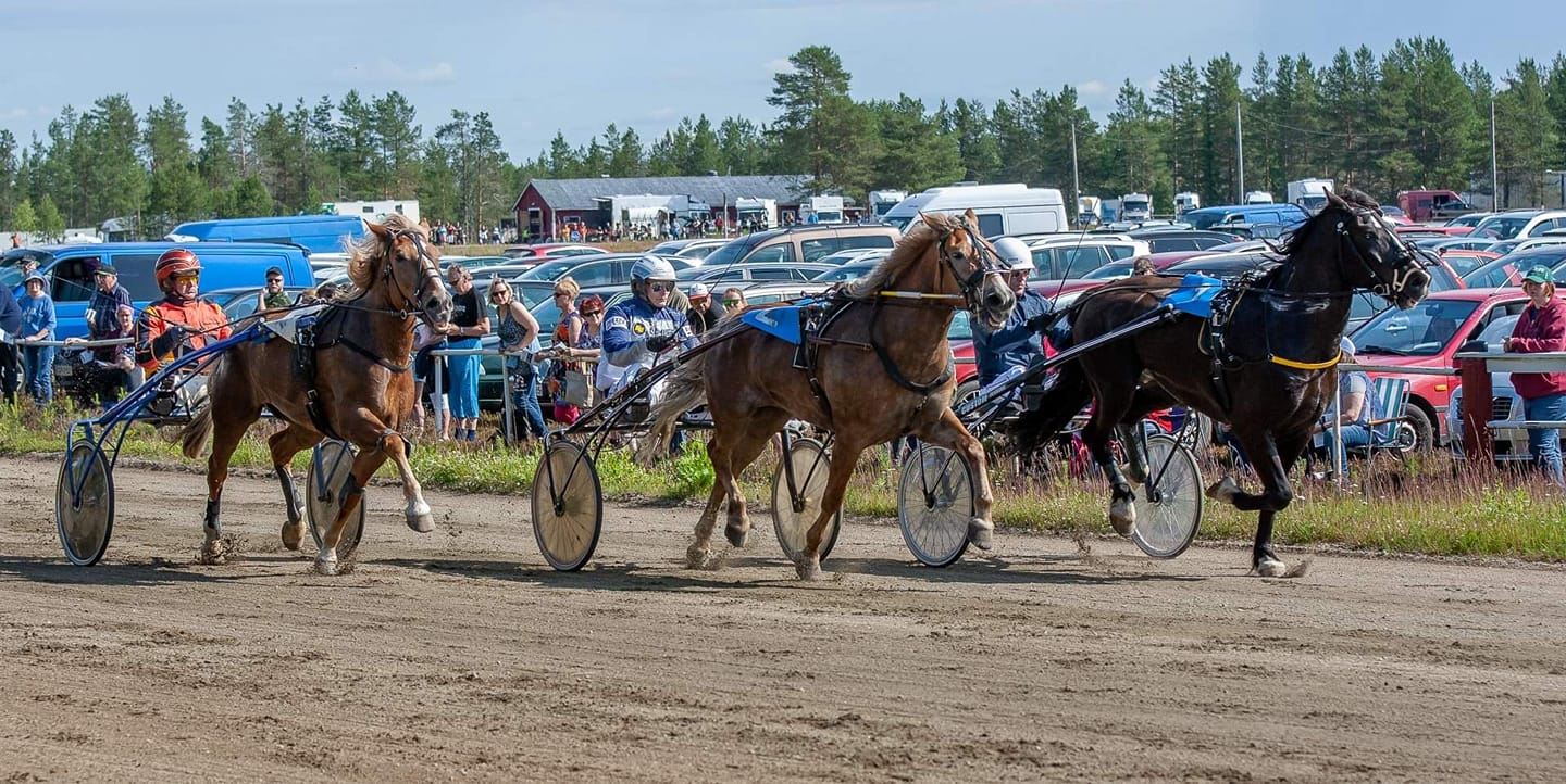 Kurtakko kesäravit Kuva: Jari Piirala