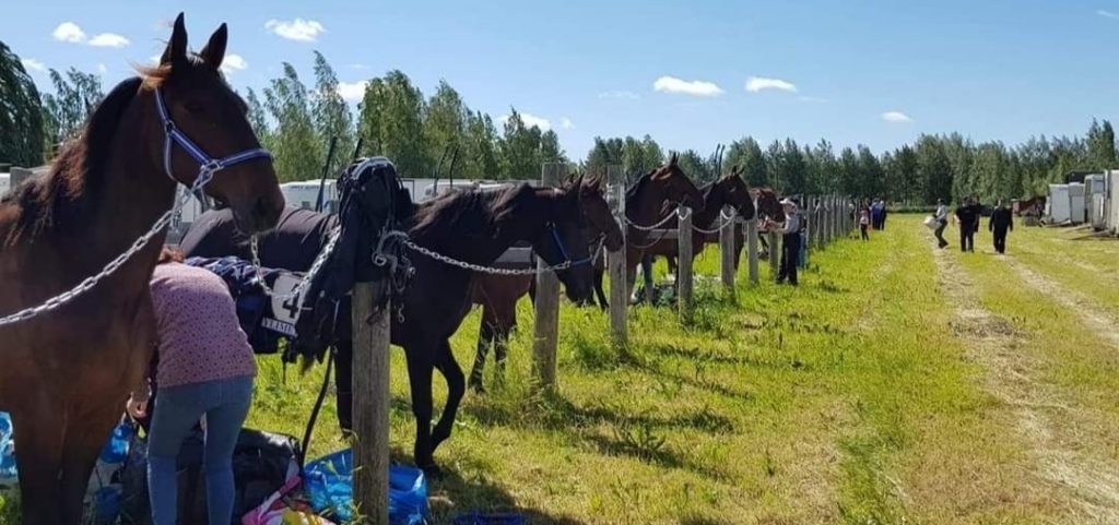 Kauhavan kesäravit - hevoset valjastustolpilla.