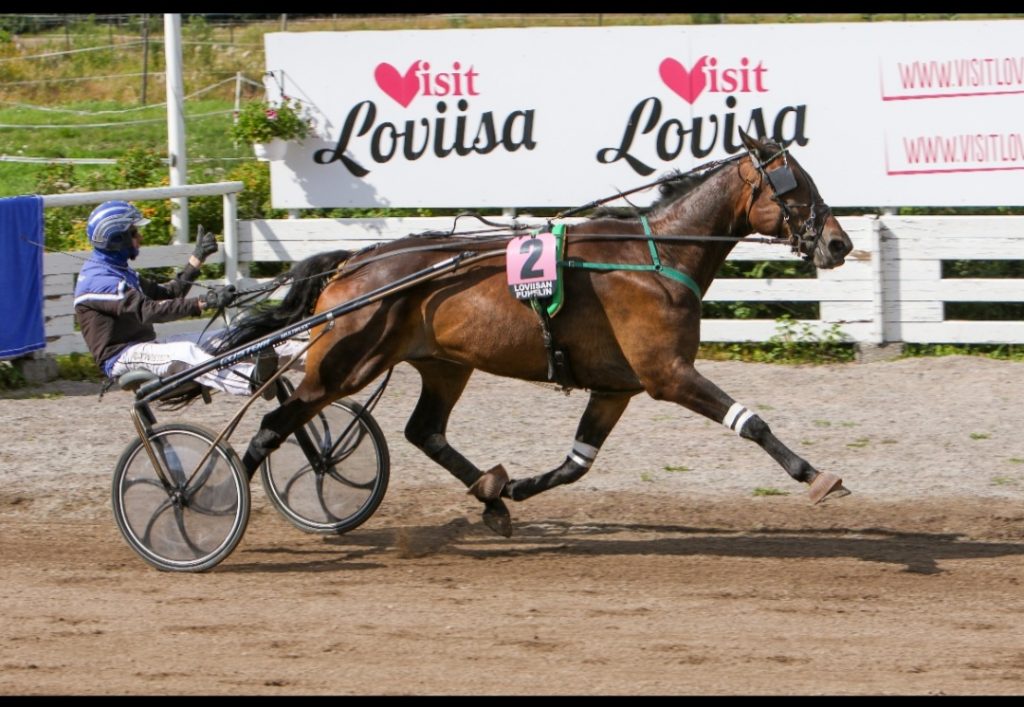 Loviisan kesäravit - lämminverinen voittajakuva.