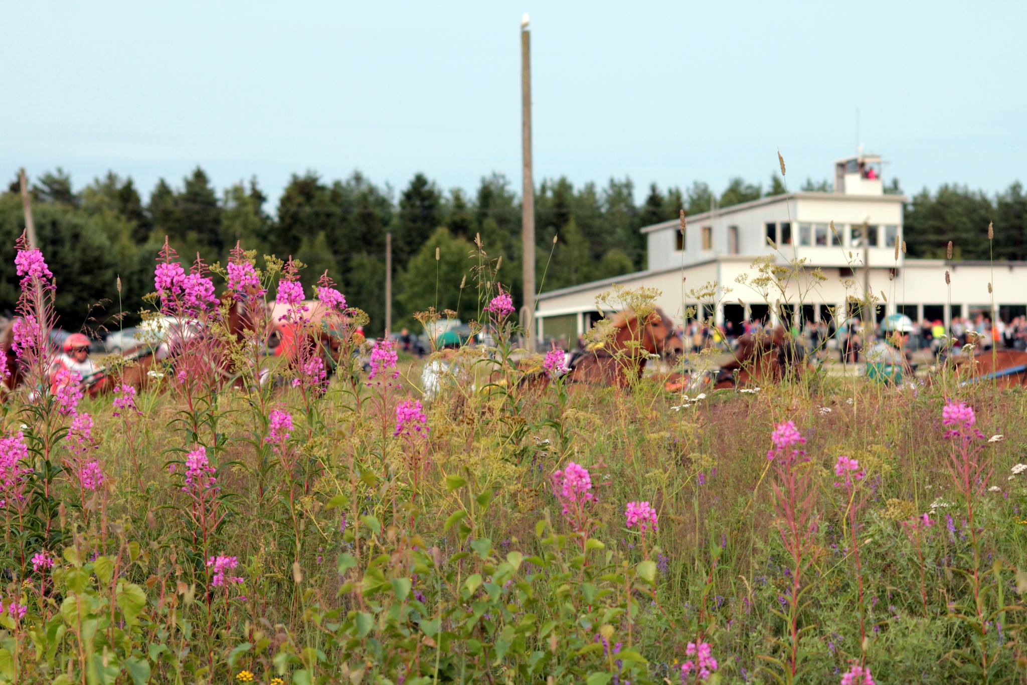 Kokkola kesäravit kuva Teija Virkberg