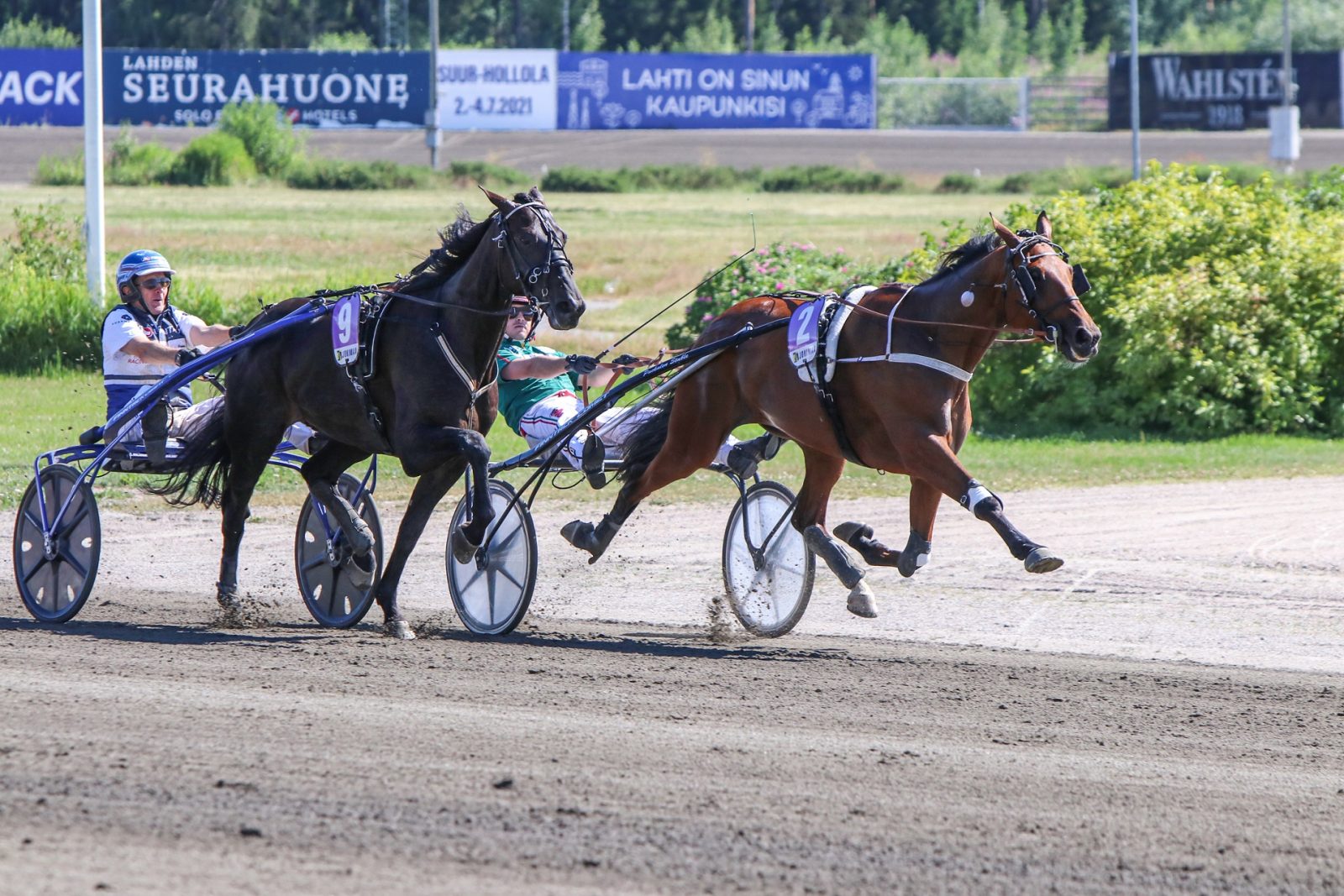 Stonecapes Queila voitti Suur-Hollola-ajon välierä