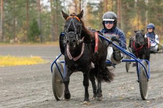 Ponikuningatarkandidaati Never Heard rattaillaan Elmeri Pussi. Kuva: Sanna-Maria Iskanius.