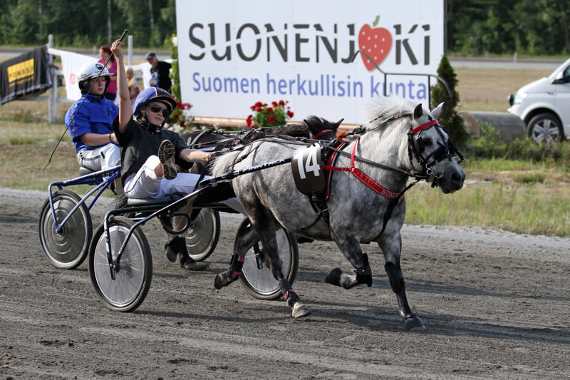 Suonenjoen kesäavit - ponit maalisuoralla Suonenjoen Mini Mansikka-ajossa.