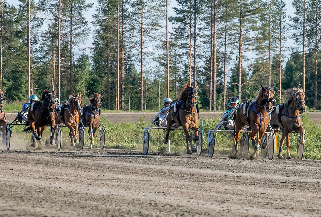 Kemijärven kesäravit - suomehevoset raviradalla.