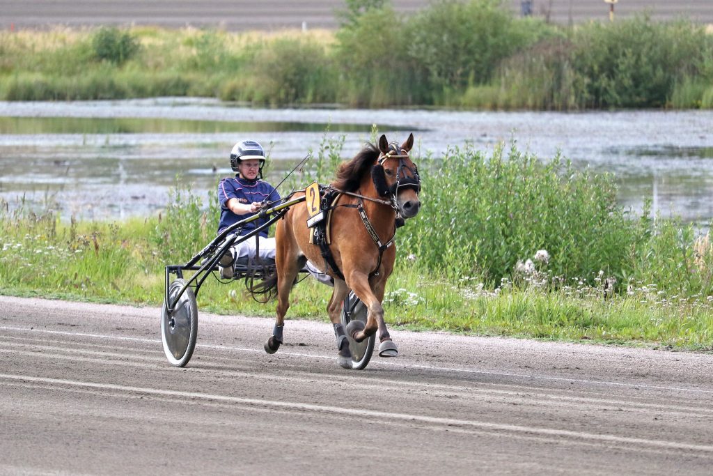 Charizard ja Julia Kiukas lähtevät puolustamaan viime vuoden Poniderbyn kakkosijaa. Kuva: Hippos / Suvi Hakkarainen.