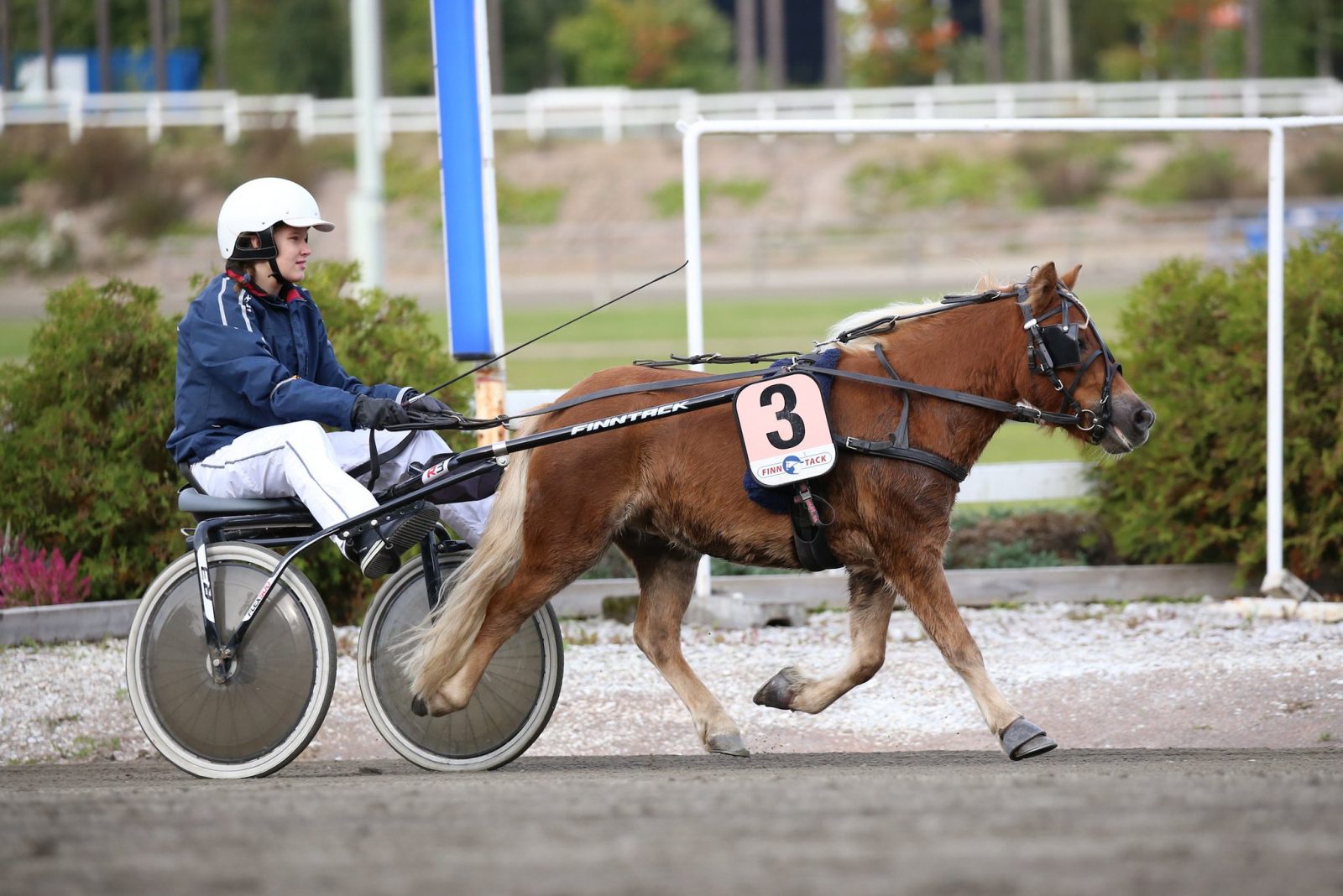 Mosso ja Anni Halinen lähtevät Killerin Poniderbyyn lähtöradalta 7. Kuva: Hippos /Maisa Hyttinen.