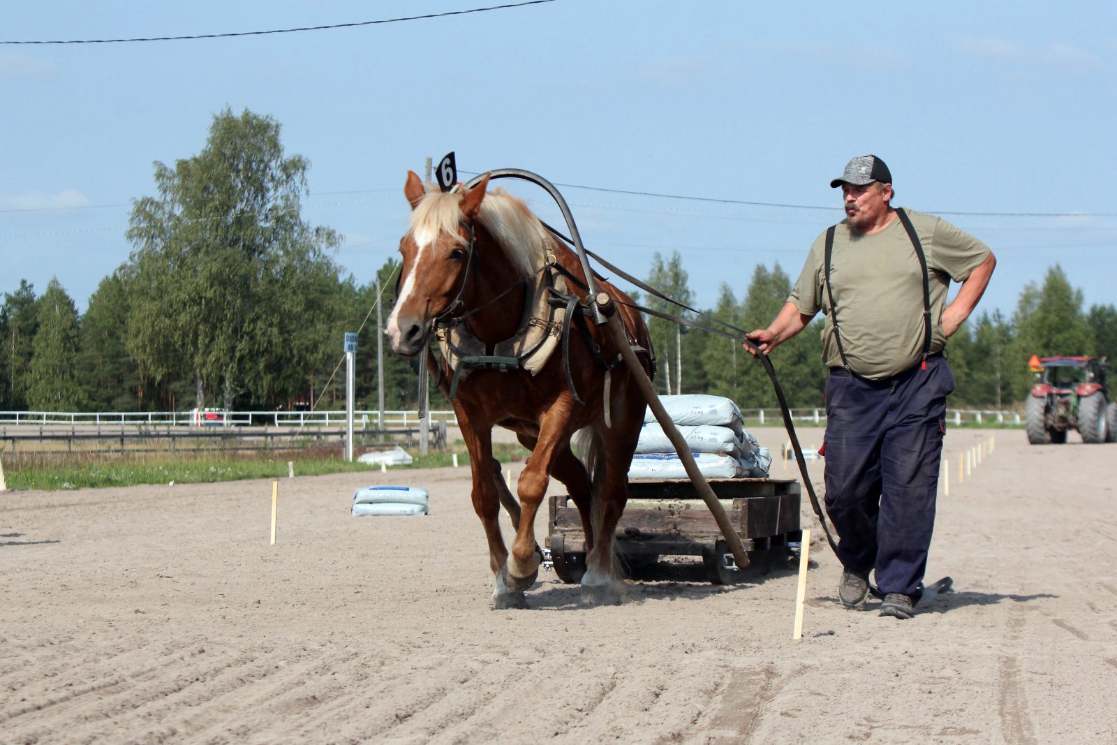 Mikko Uusimäki ja Luomutar vetokokeessa