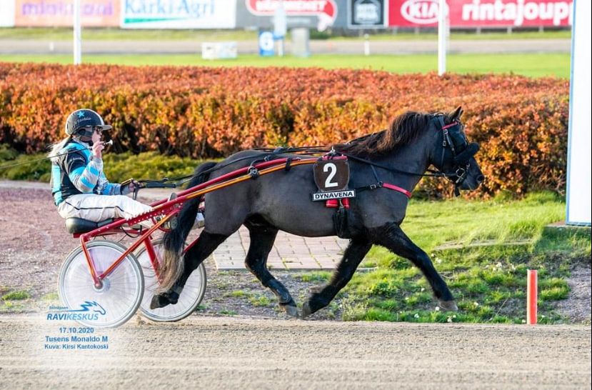 Tusens Monaldo M ja Noora Rantala. Kuva Hippos / Seinäjoen Ravikeskus.