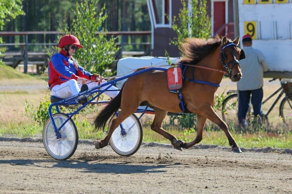 Vuoden voitokkain monte B-poni Dischamps. 2 voittoa. Omistaja ja valmentaja Jessica Häggblom, hoitaja Åsa Hägblom, kasvattajat Carina Andersson ja Carl-Erik Bengtsson. Kuva: Hippos / Noora Lokasaari.