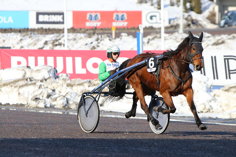 Kuvistuskuvassa ravihevonen talvella