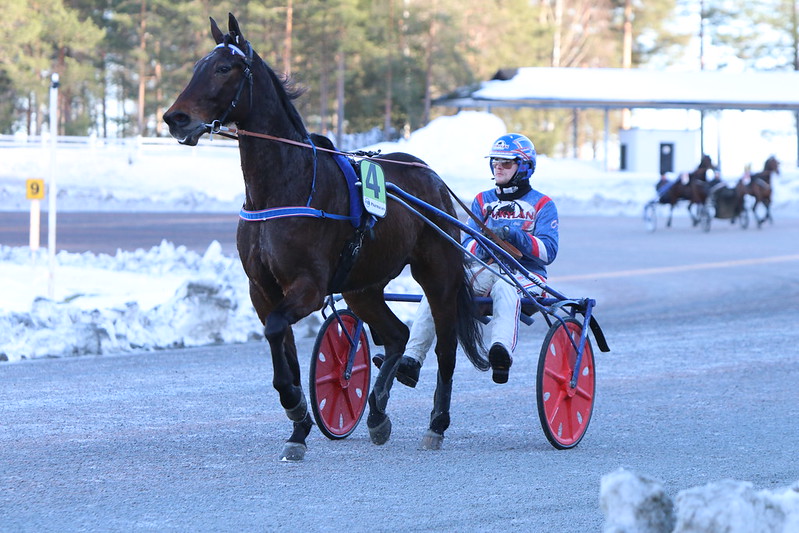 Kuvituskuvassa ravihevonen talvella