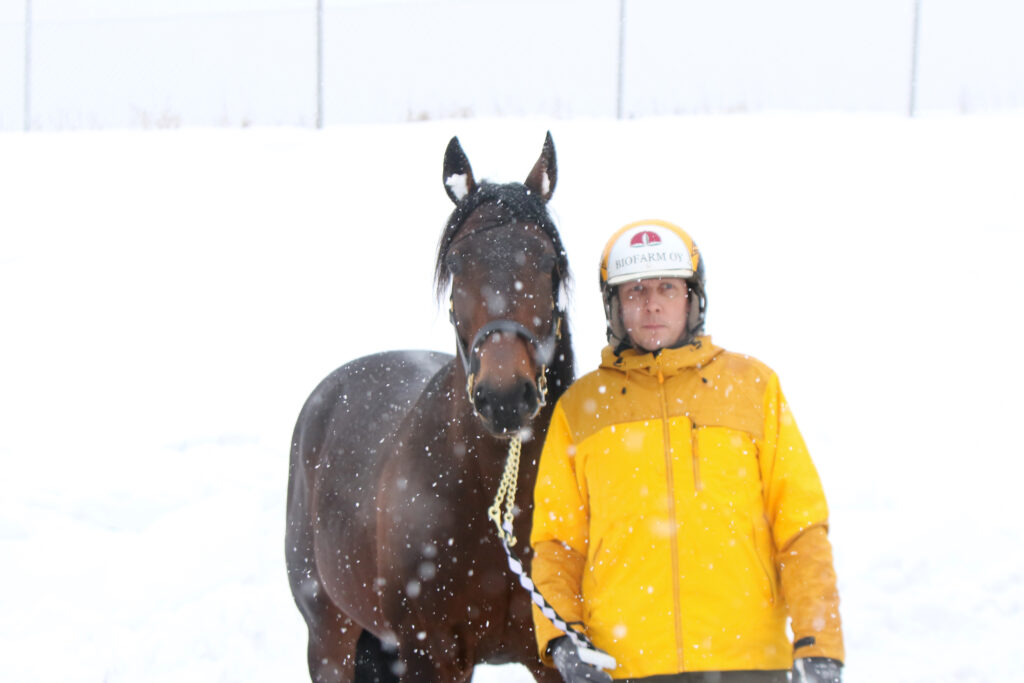 Djali Boko -hevonen