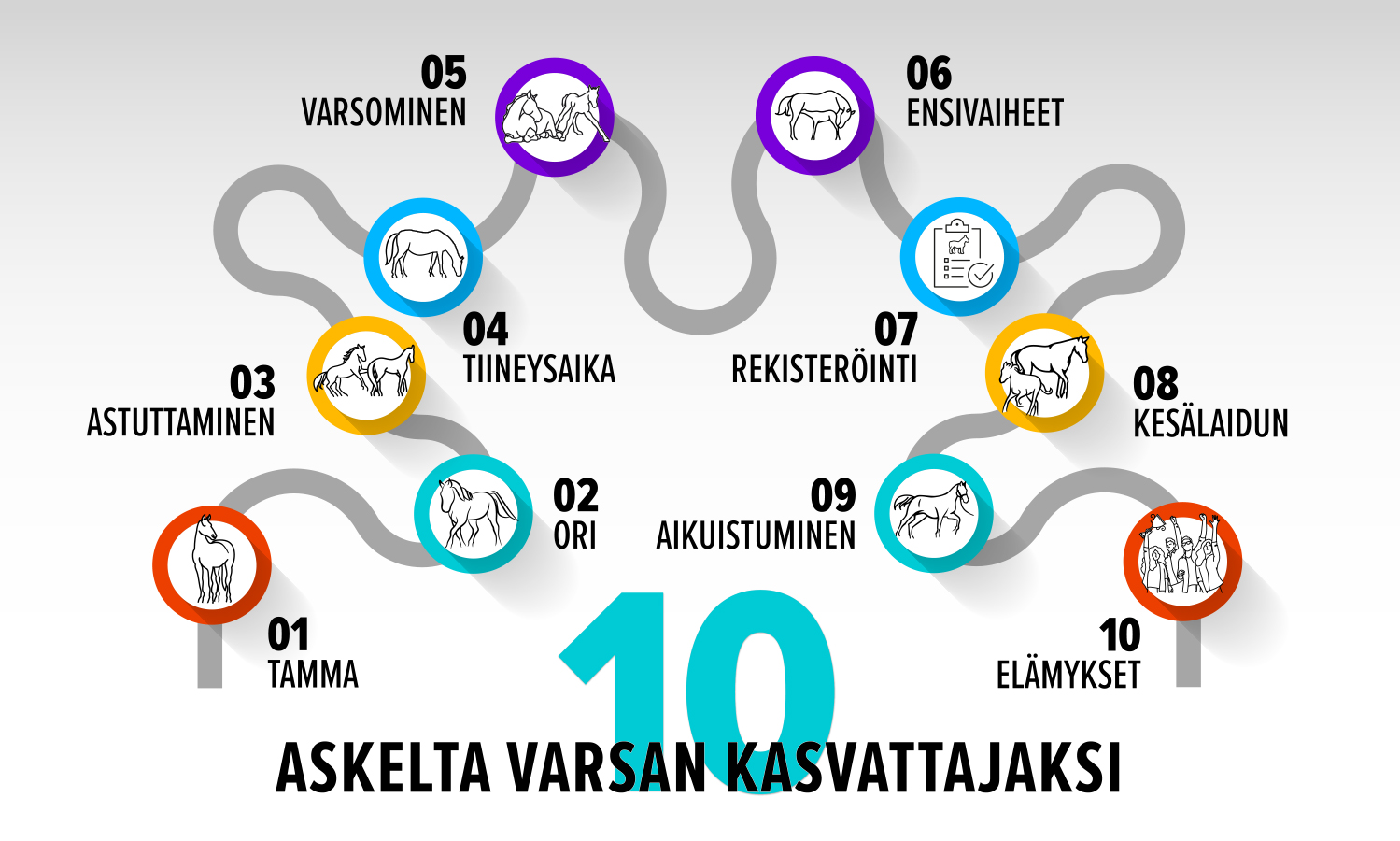 Kuvituskuvana kartta 10 askelta varsan kasvattaksi