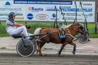 Golden Jang ja Elmeri Pussi