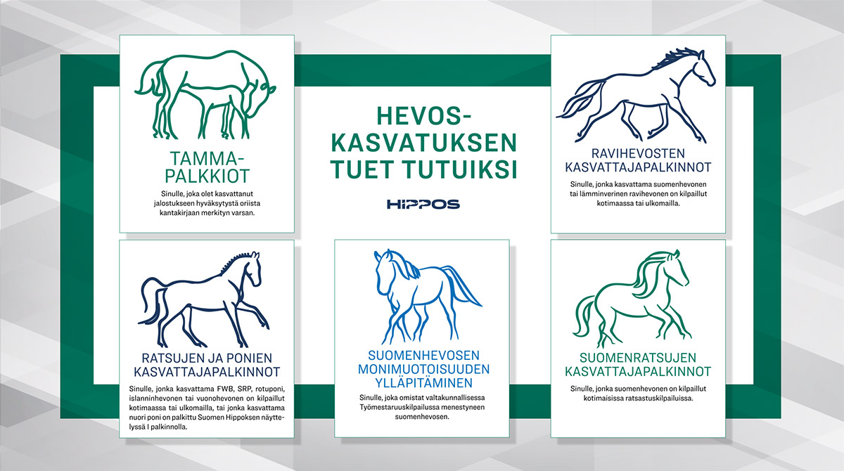 Kuvassa infograafi hevoskasvatuksen eri tukimuodoista