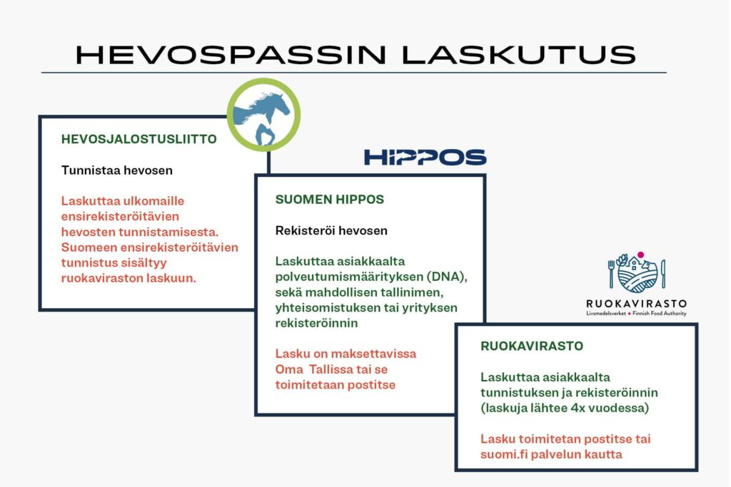 Kuvassa infograafi laskutuksen portaista