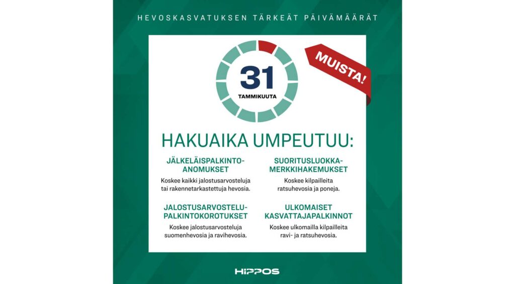 Kuvassa infograafi hevoskasvatuksen tuista