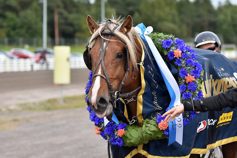 Kuvassa Lipassin pääkuva Oulu Express voiton jälkeen loimitettuna ja seppelöitynä