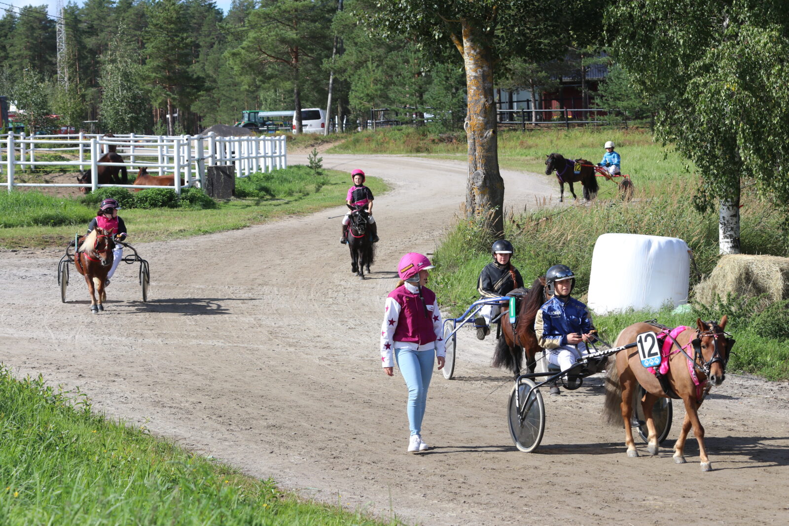 kuvituskuva poniraviurheilu