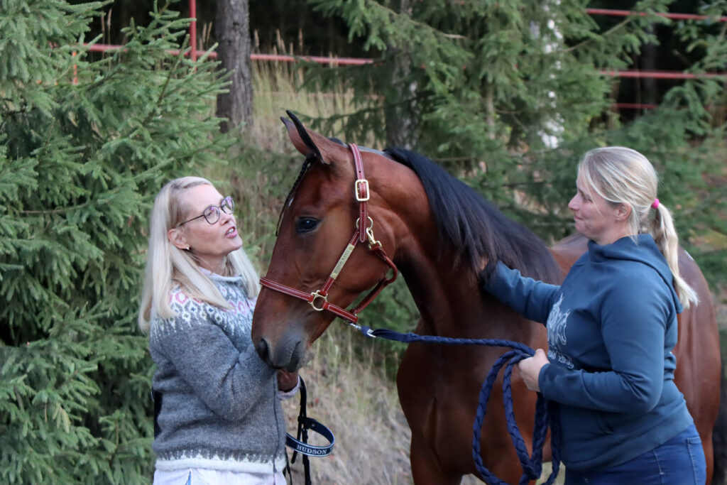 Kuvassa Anna Siljamäki silittää Hudson Waniaa Riina Rekilän pitäessä hevosesta kiinni
