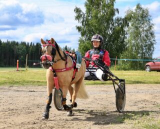 Aarteen Ritari ja Eerika Koskenvalta